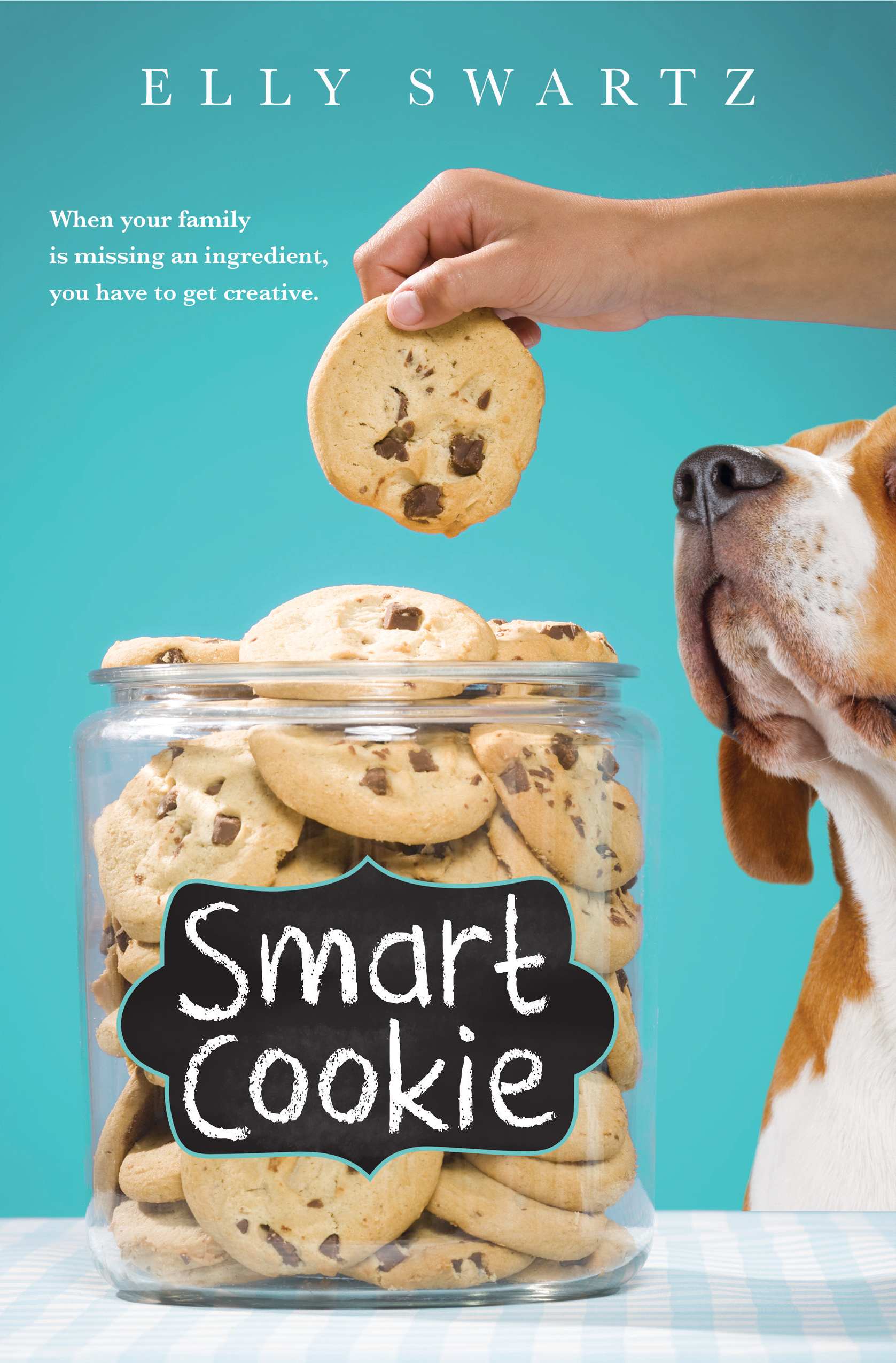 smart_cookie_cover on line